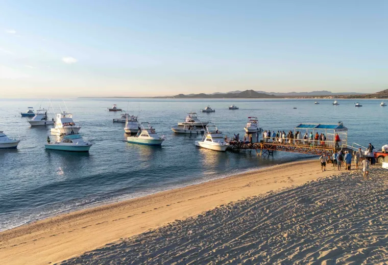 Sea of Cortez at Van Wormer Resorts.