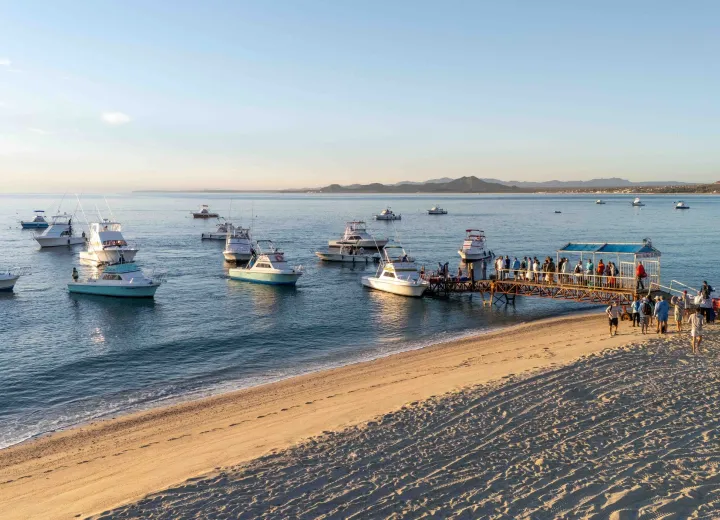 Van Wormer sportfishing boats on the Sea of Cortez.