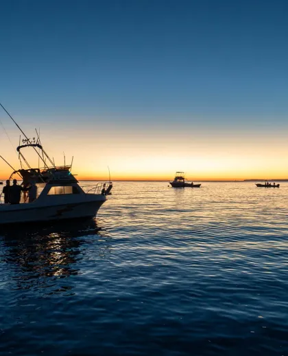 Sportfishing on the Sea of Cortez.