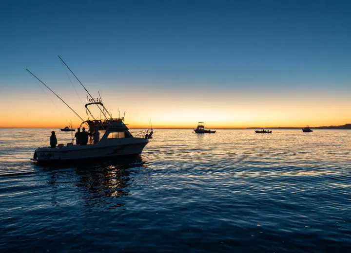 Van Wormer sportfishing boats at sunrise.