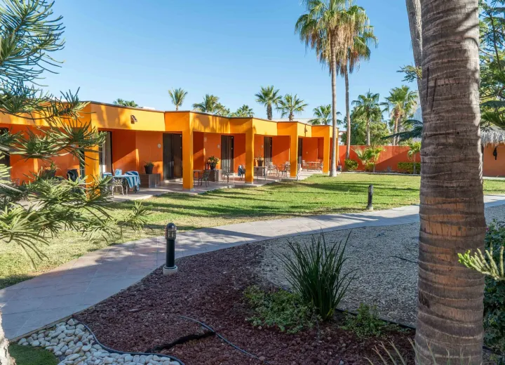 Garden and beachfront grounds at Hotel Playa del Sol.
